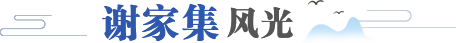 謝家集風光